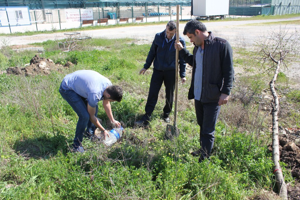 Yalova Üniversitesinde Fidan Diktik