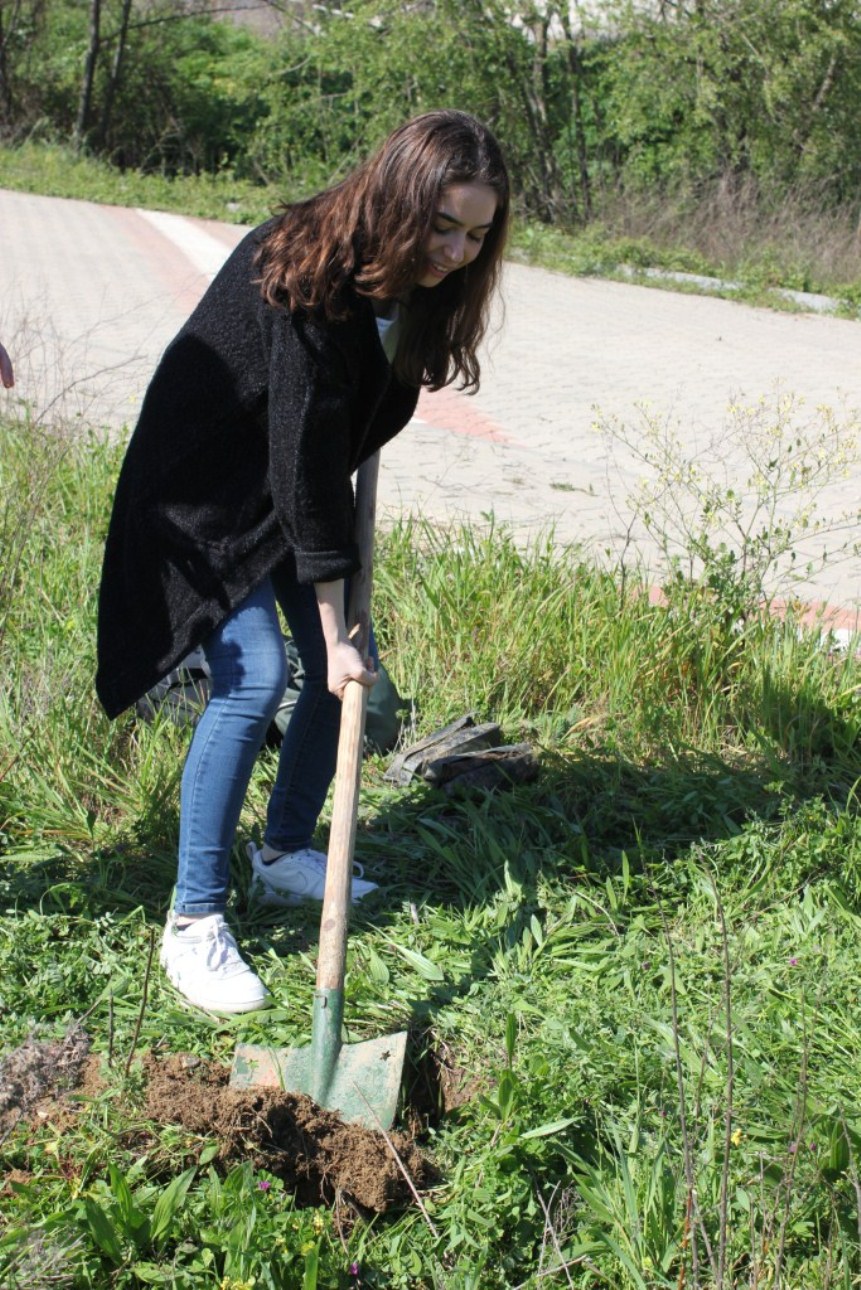 Yalova Üniversitesinde Fidan Diktik