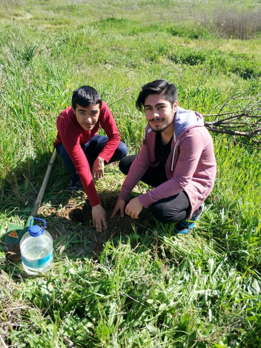 Yalova Üniversitesinde Fidan Diktik