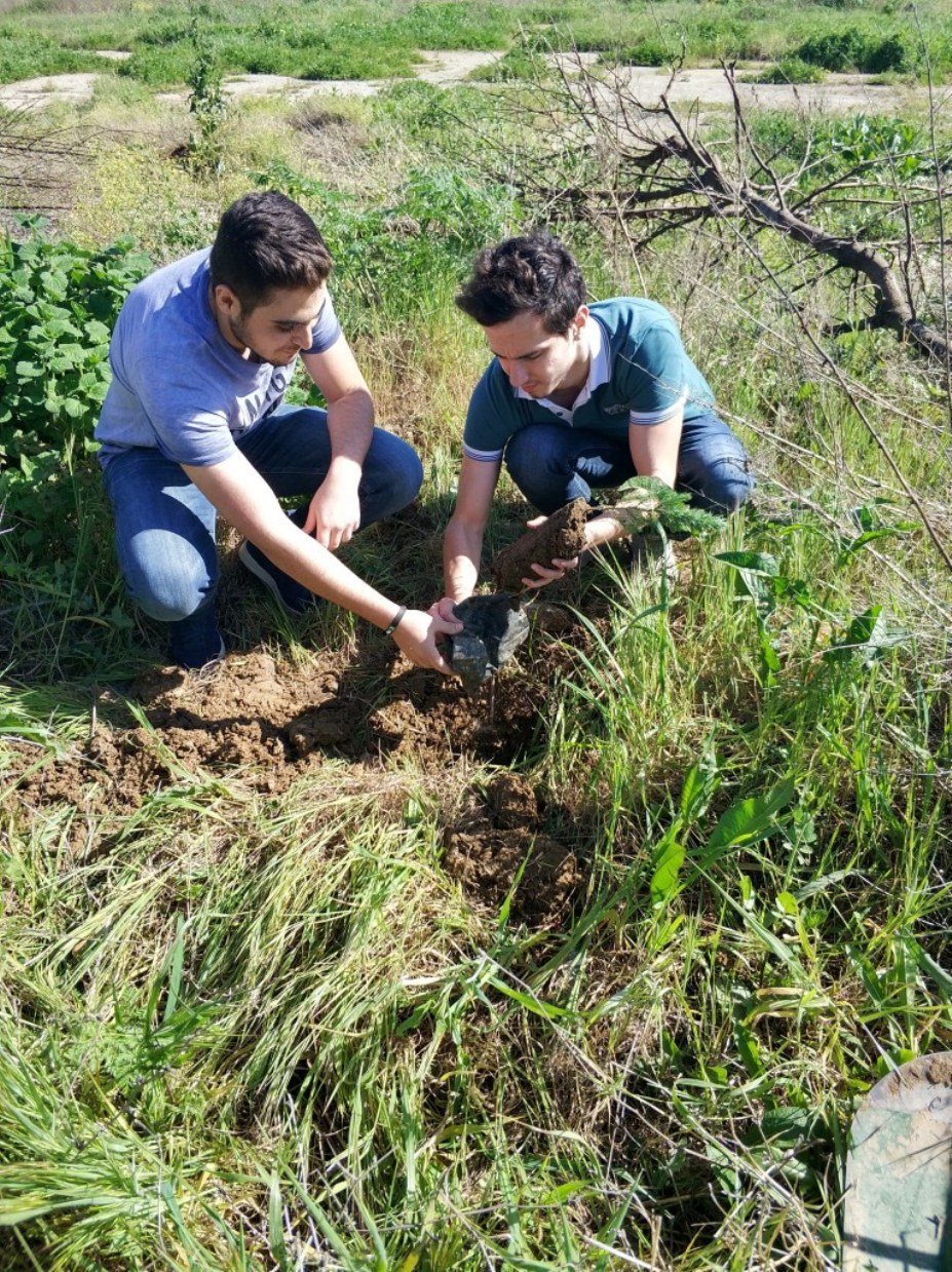 Yalova Üniversitesinde Fidan Diktik