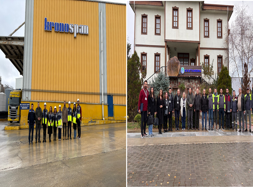 Within the scope of the Strengthening the Turkish Environmental Labeling System (TELS) Project, a technical study visit was conducted to determine criteria for the wood surface coating product group.