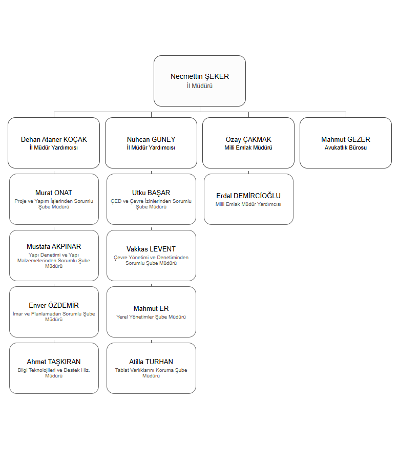 Organizasyon Şeması