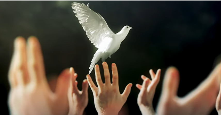 COP 31 TANITIM FİLMİ - TR