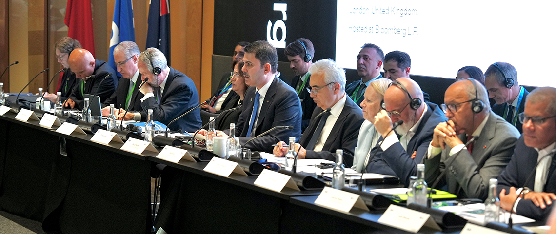 LONDRA’DA ENERJİ DÖNÜŞÜMÜ DİYALOĞU TOPLANTISI DÜZENLENDİ